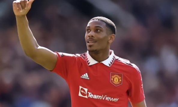 任何一个细 任何一个细